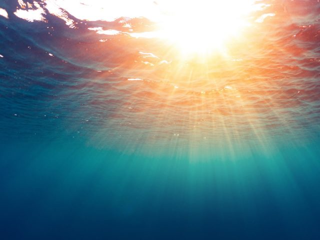 Klare und präzise Erklärungen schaffen Vertrauen & ein unvergleichliches Wohlgefühl.